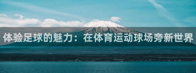 top1体育下载入口：体验足球的魅力：在体育运动球场旁新世界