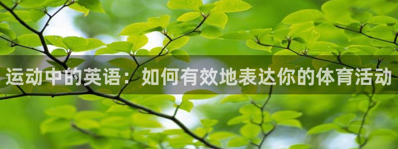 TOP1体育app电子游戏